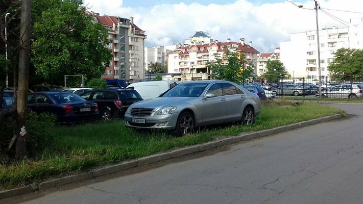 Нагъл шофьор паркира в тревни площи