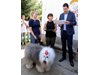 Куче шампион помага на болни от рак деца в Пловдив