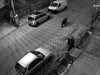 Мечка се разходи в софийски квартал, едва не се удари в кола (Видео)