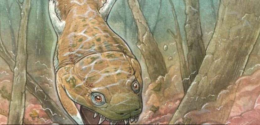 Учени са открили вкаменелости на звяр с остри зъби, наподобяващ голям саламандър Снимка: Twitter/@newscientist