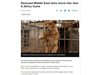 Двата лъва, спасени от войните в Близкия изток, пристигнаха в Йоханесбург