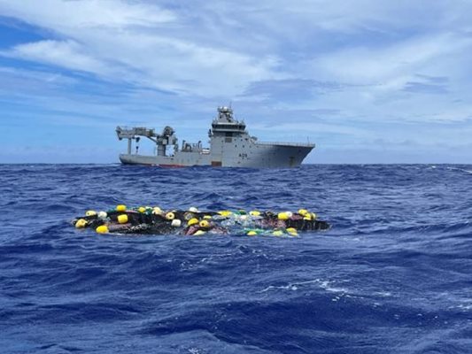 Коката бсвободно плува в океана