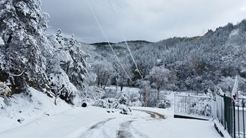 11 деца и възрастни са блокирани в с. Демирево