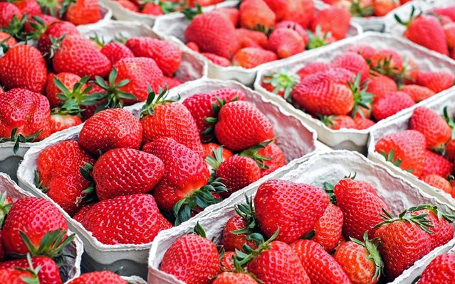 Ягодите от Южна България първи ще се появят в хипермаркетите