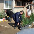 Полицаи изнасят саксии с марихуана от къща в Исперих.
СНИМКИ: АРХИВ