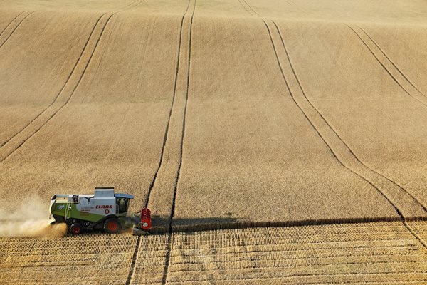 От Украйна и Русия идват над половината от световните доставки на слънчогледово олио и над 30% от пшеницата.