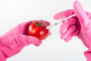 Какво представляват генно редактираните храни