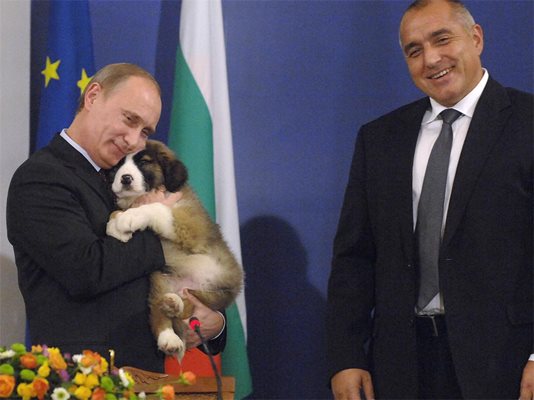 Българският Бъфи на Путин чака потомство