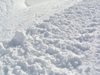 Доброволци се борят 48 часа със снежната стихия във Вълчедръм (видео)