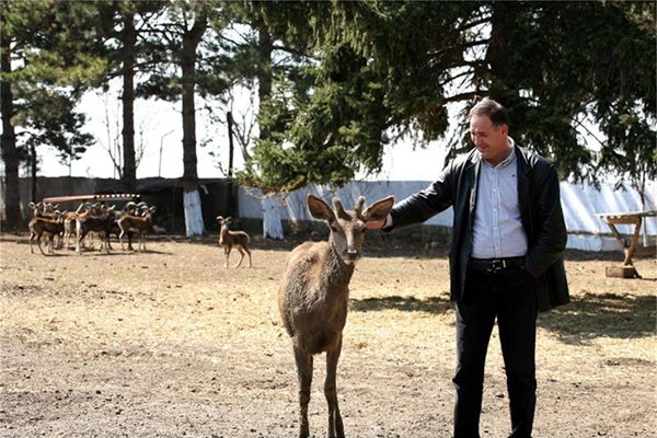 Гюнай Хюсмен с елена Мъни, талисман на ловното му стопанство 
СНИМКА: СТОЯН НИКОЛОВ