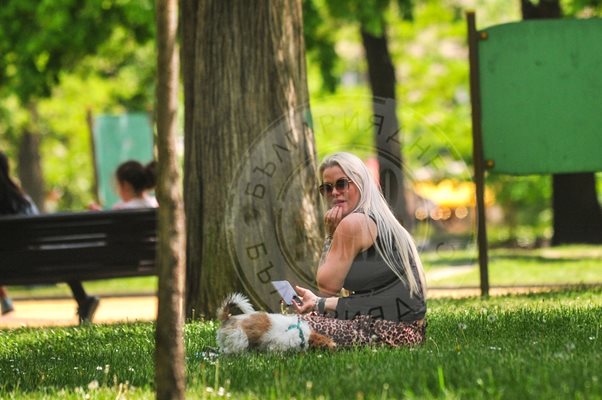 Ледената кралица се топи в жегите