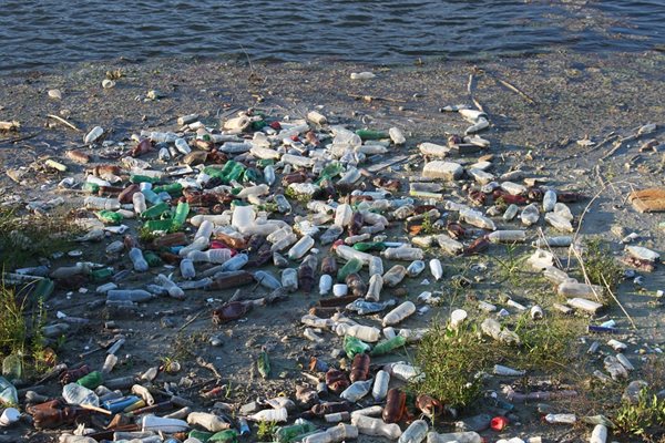 Проф. Макгиър предупреждава, че замърсяването на световния океан с пластмаса вече е значително и това оказва пагубно влияние не само на морския и животинския свят, а и на хората.