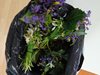 89 букета с пролетни цветя конфискува на 8-ми март РИОСВ-Русе
