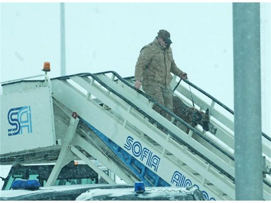 Американски служител по сигурността със следово куче слиза от борда на самолета на държавния секретар Клинтън.