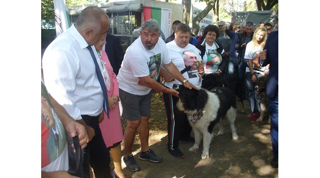 Премиерът Бойко Борисов "се запозна" с българското овчарско куче Чар, дошло на изложението чак от Монтана.