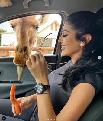 Храни жираф с морков на рождения си ден