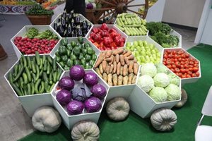 Узбекистан нанася нов удар върху собствения си износ на плодове и зеленчуци