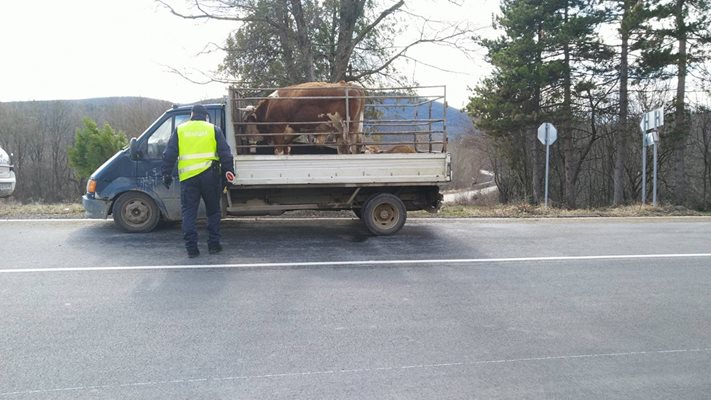 „Чай за пушене" е иззет от обувката на ученик в село Георги Дамяново