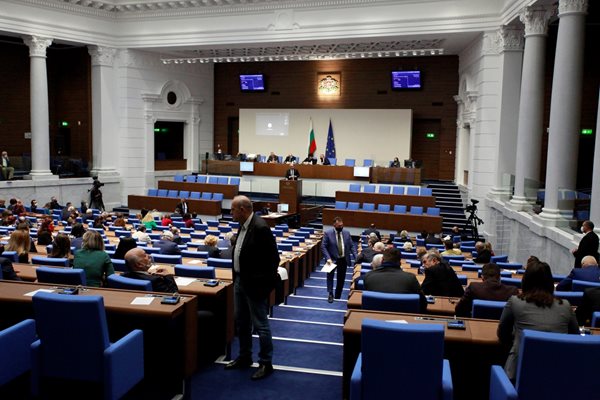 Около 2 часа продължиха дебатите по приемането на Закона за бюджета на зравната каса за 2021 г. СНИМКА: АРХИВ