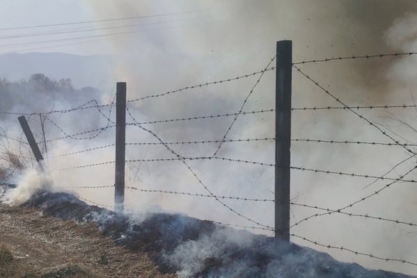 Огънят се прехвърлил и върху територията на хвостохранилището на Пловдив. Снимки: РДПБЗН-Пловдив