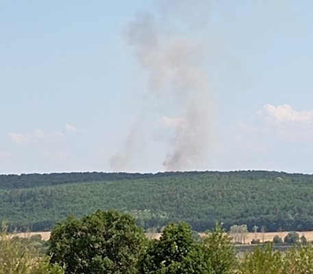 Пушек се вижда от горящите стари лозя в Мало Крушево.