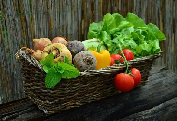 Зеленчуците са изключително полезни за здравето СНИМКА: Pixabay