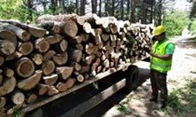 Заловени 40 кубика незаконни дърва за огрев