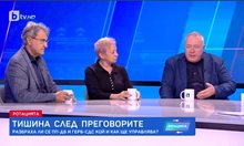 Диана Дамянова: Най-голямата вреда на ПП нанесе думата “сглобка” (по Лена Бориславова)