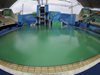 Изпуснати химикали направили
басейна в Рио зелен