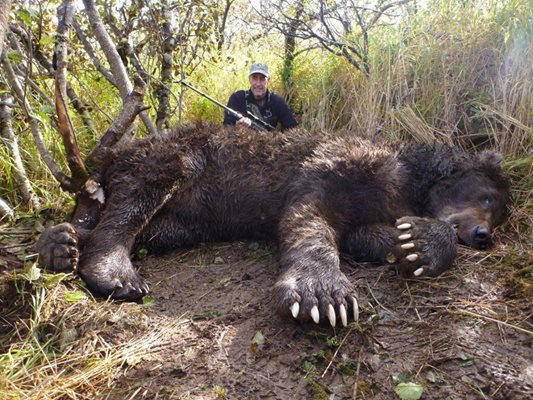 Гигантската мечка е с впечатляващи размери, тежи над тон