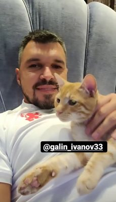 Божинов гледа мача в компанията на котката и на Галин Иванов