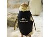 Гол пингвин получи уникален неопренов костюм (Снимки+Видео)