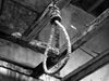 Зловеща находка в Дреновец - откриха телата на обесен мъж и удушената му съпруга