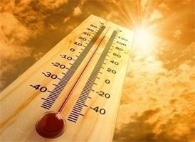 Температурен рекорд от 38,4 градуса на сянка е отчетен в Русе
СНИМКА: Pixabay