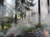В Одрин взеха допълнителни мерки срещу пожара край Свиленград