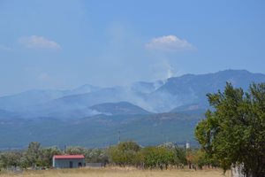 Пожар с 5 огнища гори на българо-гръцката граница