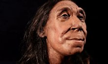 Пресъздадоха лицето на неандерталска жена, живяла преди 75 000 г. (Снимки)