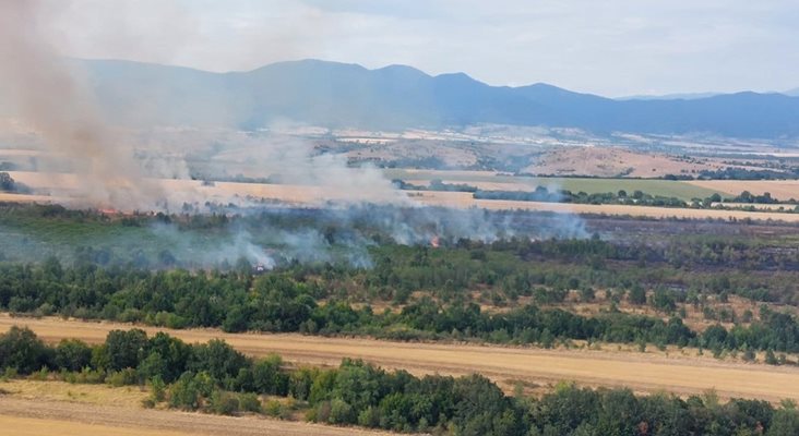 Пожарът между Драгомир и Мало Крушево унищожи стари лозя и горски масиви.