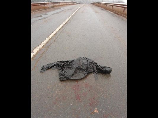 Кърваво яке остана на моста след разстрела на Богровеца. 
СНИМКА: НИКОЛАЙ ЛИТОВ