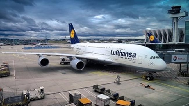 Birds in the engine returned a Lufthansa plane from the runway at Sofia Airport