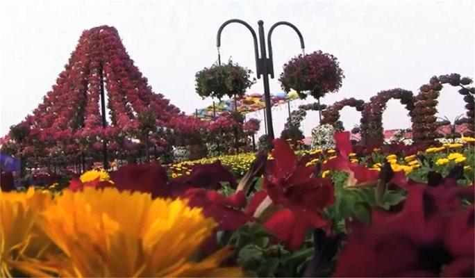 Вижте най-големия парк на цветята в света (видео)