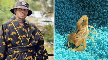 Венци Венц: Отрова от син скорпион ме спаси от тумор