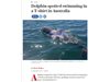 В Австралия издирват делфин, облечен с тениска