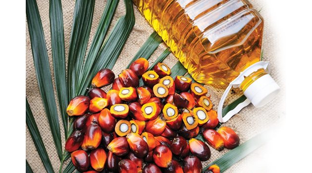 13 ползи от палмовото масло и 4 жестоки вреди