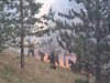 Военни от Благоевград участват в гасенето  на пожара на българо-гръцката граница