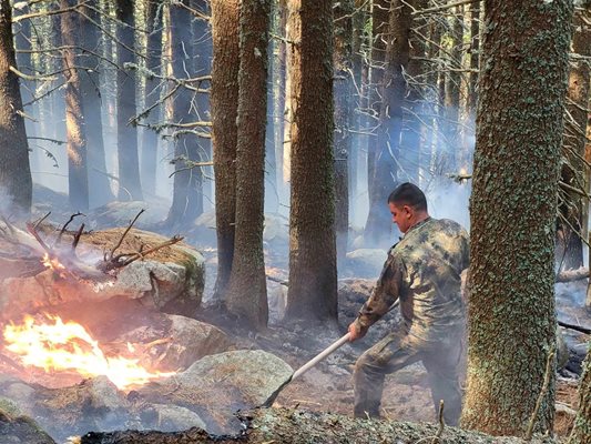 Пореден ден военнослужещи помагат в овладяването на пожара в Рила Снимка: Пресцентър на министерството на отбраната