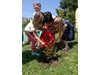 Евродепутатът от ГЕРБ/ЕНП Ева Майдел и търновски деца садиха растения по повод Деня на околната среда