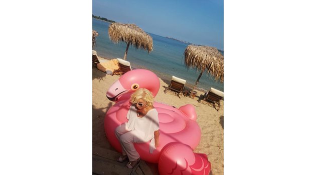Силвия Кацарова с розовото фламинго