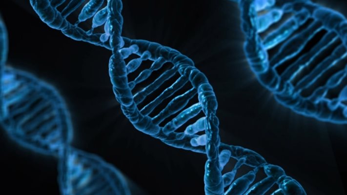 Проф. Хендерсън и д-р О първи конструираха ДНК наночастици, способни да изразяват генетичен код. Тоест, тези структури могат да са едновременно носители и на гени, и на лекарства.
Снимка: Pixabay