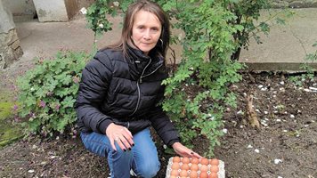 Производителката Габриела Петрова: Една кора яйца за Великден стига